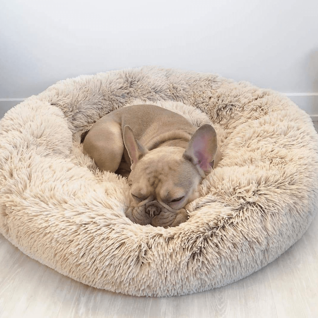 Cozy pet bed best sale
